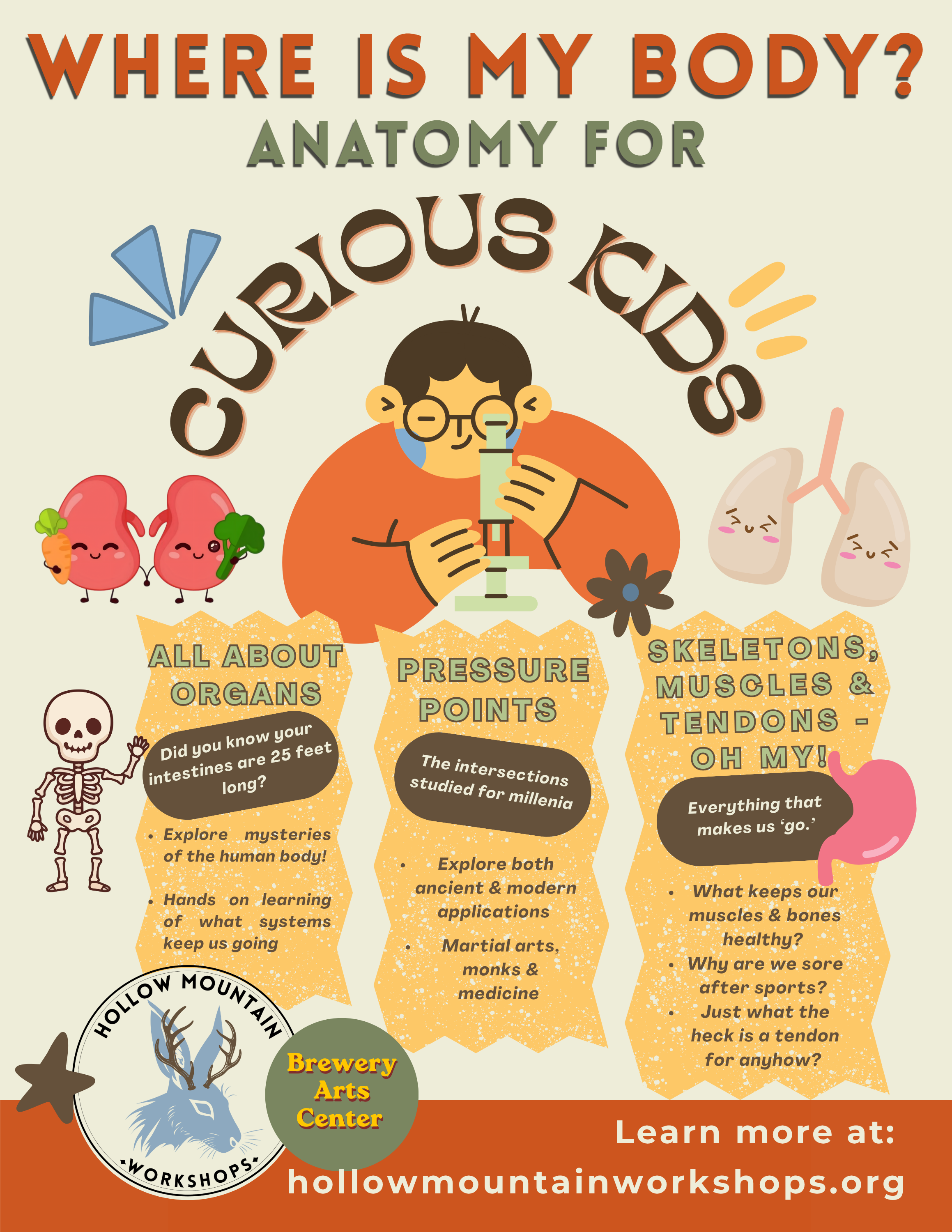 Anatomy for Curious Kids flyer from Hollow Mountain Workshops, exploring organs, pressure points, skeletons, muscles and tendons through hands-on human body learning.